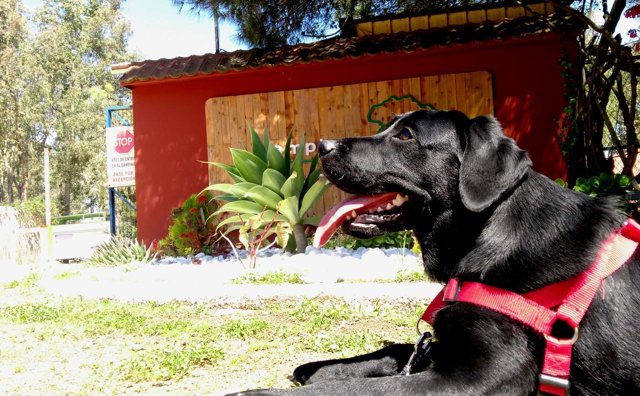 Camping Playa Taray Islantilla Esterno foto