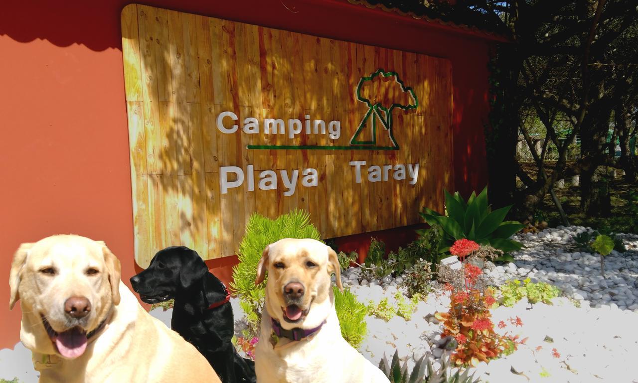 Camping Playa Taray Islantilla Esterno foto